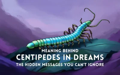 Meaning Behind Centipedes in Dreams The Hidden Messages You Can’t Ignore | Centipedes Dreams