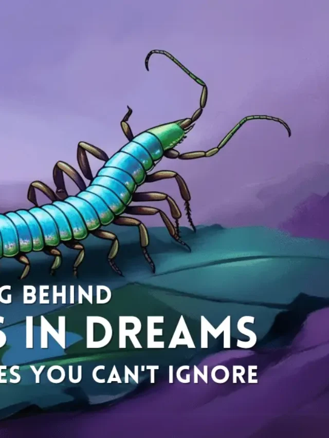 What Do Centipedes in Dreams Mean? Uncover Hidden Messages and Symbolism