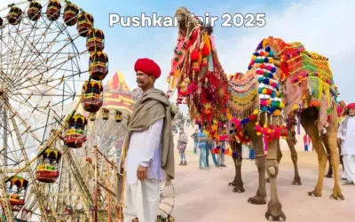 Pushkar Fair 2025